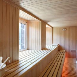 Sauna finlandese panoramica