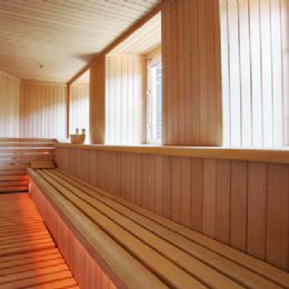 Sauna finlandese panoramica