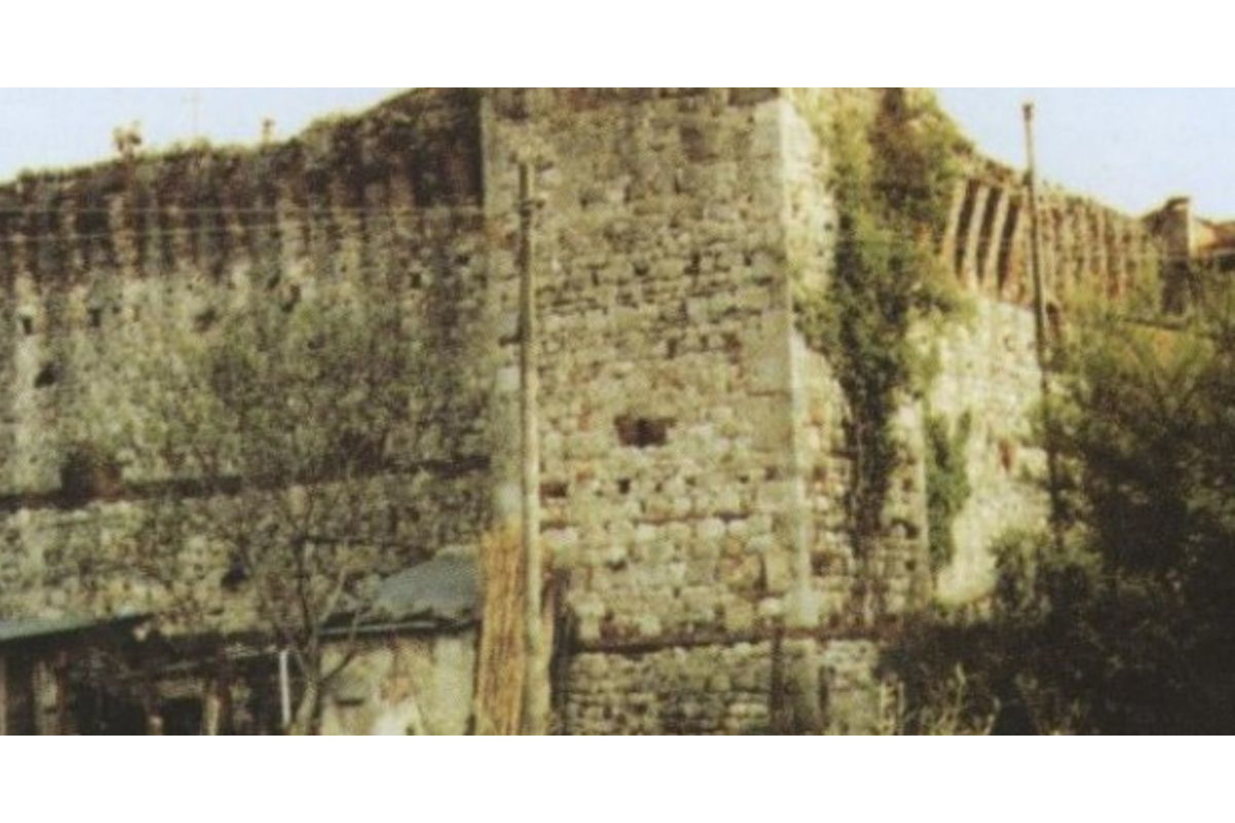 ripoli