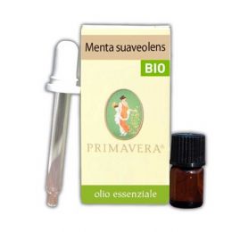 Olio essenziale di menta suaveolens